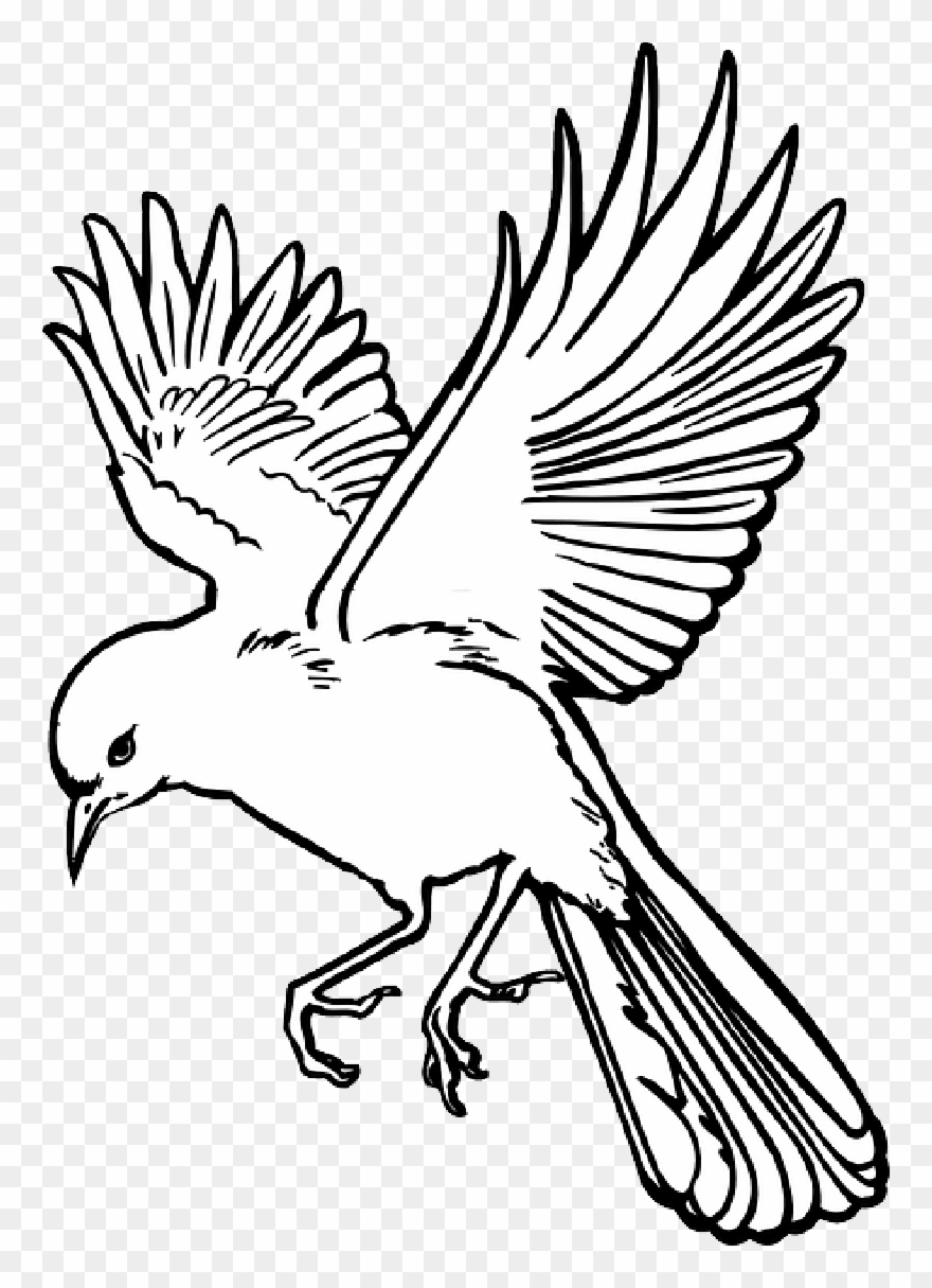 Line Drawing Of A Crane Bird Vector Designs Bath Dodo T Shirt 880x1215 Line Drawing Of A Crane Bird Vector Designs Bath Dodo T Shirt