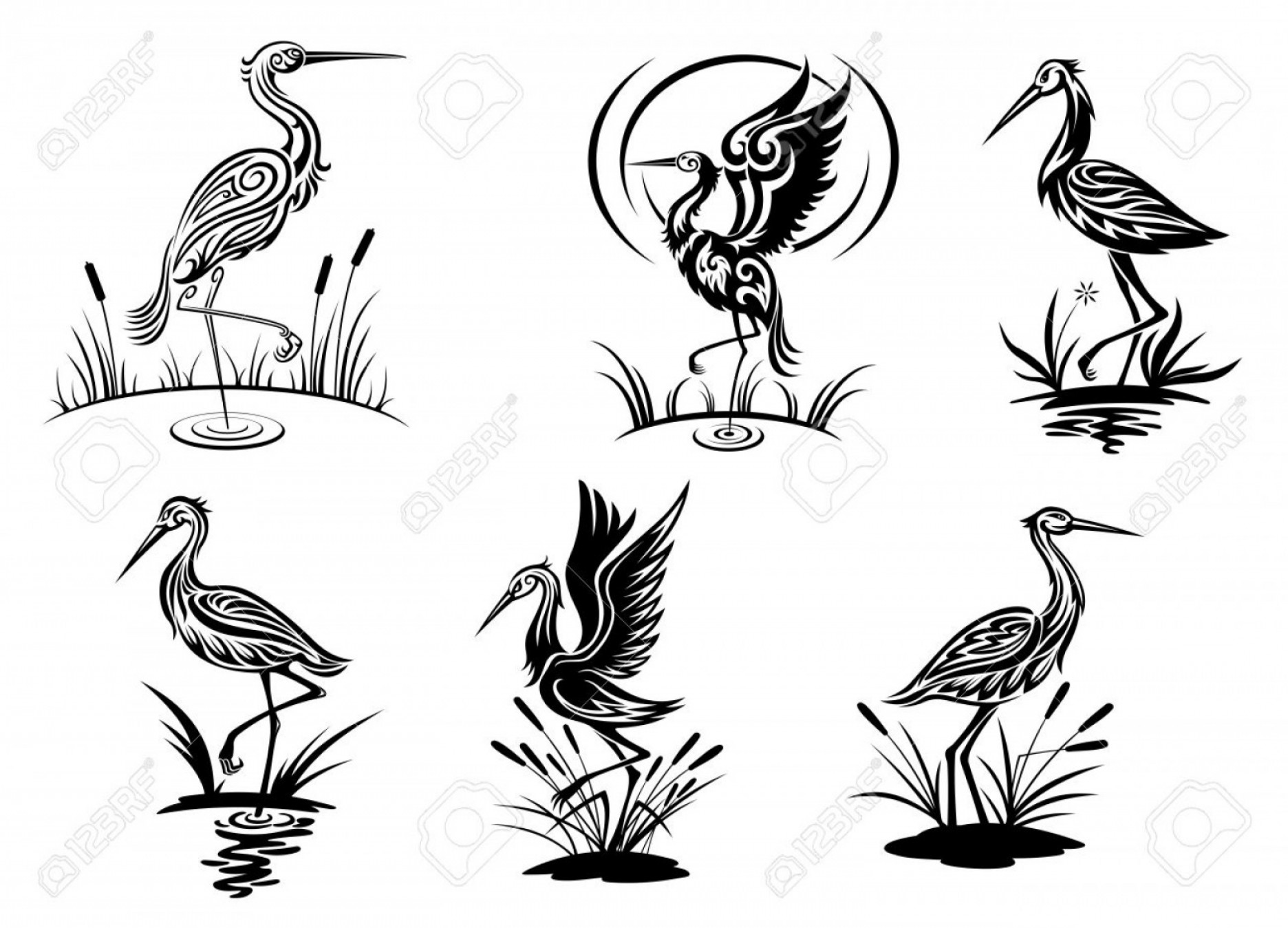 Photostock Vector Stork Heron Crane And Egret Birds Vector 1872x1348 Photostock Vector Stork Heron Crane And Egret Birds Vector