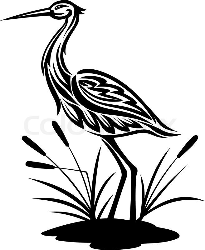 Stork, Heron, Crane And Egret Birds Vector Illustrations In Black 657x800 Stork, Heron, Crane And Egret Birds Vector Illustrations In Black