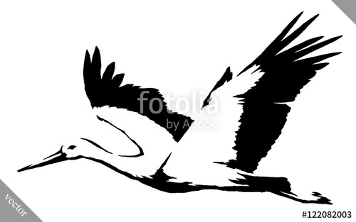 Black And White Paint Draw Crane Bird Vector Illustration Stock 500x313 Black And White Paint Draw Crane Bird Vector Illustration Stock