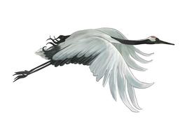 Crane Bird Free Vector Art 267x200 Crane Bird Free Vector Art