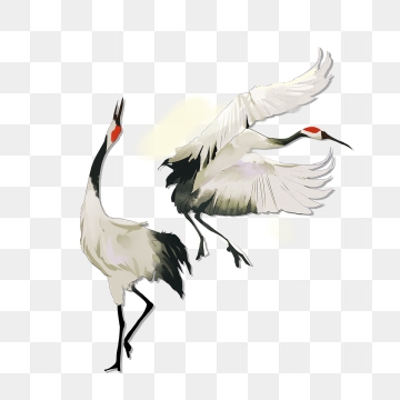 Crane Bird Png Images Vector And Free Download 360x360 Crane Bird Png Images Vector And Free Download