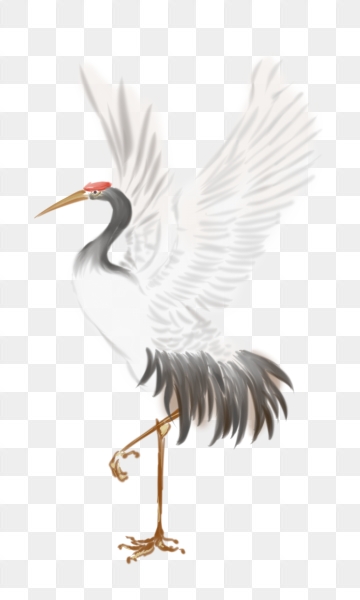Crane Bird Png, Vector, And Clipart With Transparent 360x600 Crane Bird Png, Vector, And Clipart With Transparent