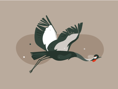 Crane Bird 400x300 Crane Bird