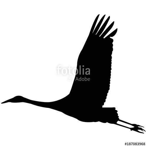 500x500 Whooping Crane Silhouette Vector Graphics Stock Image And Royalty