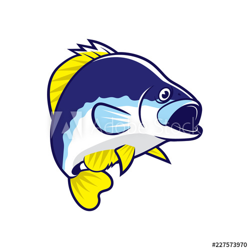 500x500 Fish Vector Cartoon Illustration Crappie Fish