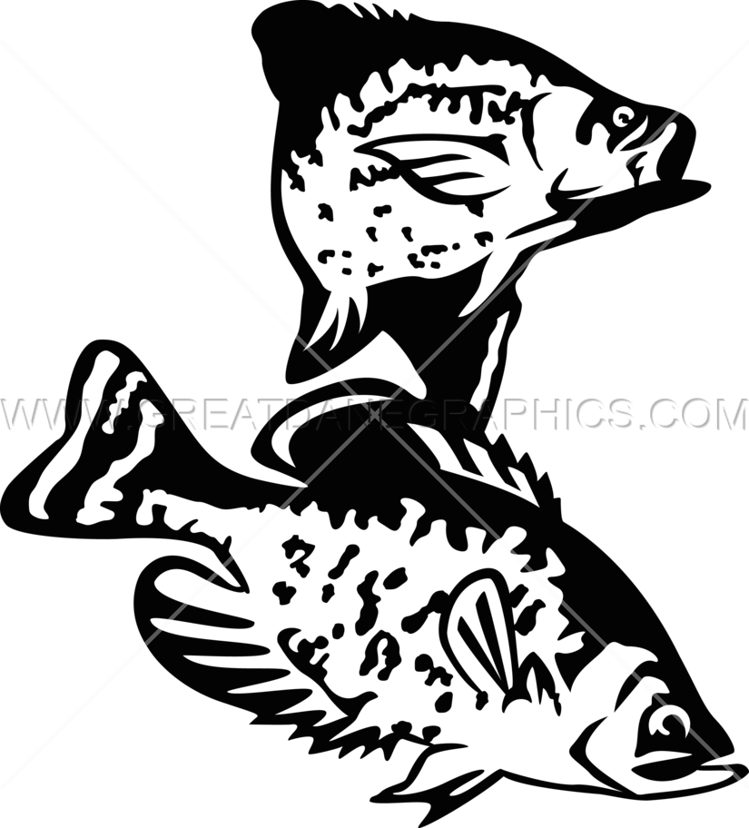 825x912 Hd Crappie Vector