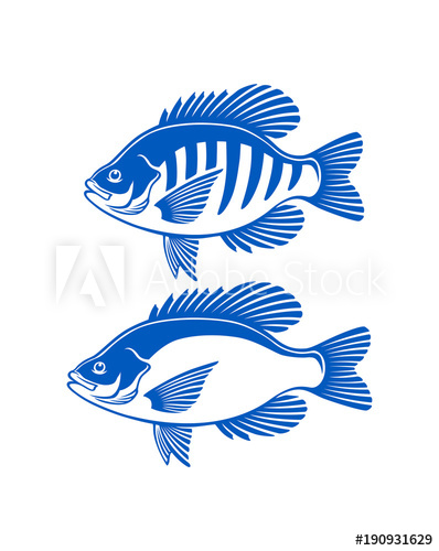 398x500 Bluegill And Crappie