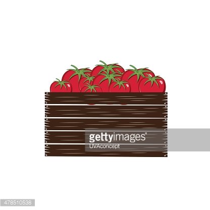 Red Ripe Tomatoes In Crate Vector Illustration Isolated On White 416x416 Red Ripe Tomatoes In Crate Vector Illustration Isolated On White