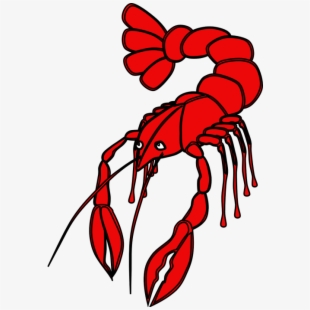 Crawfish Vector Shrimp 310x310 Crawfish Vector Shrimp