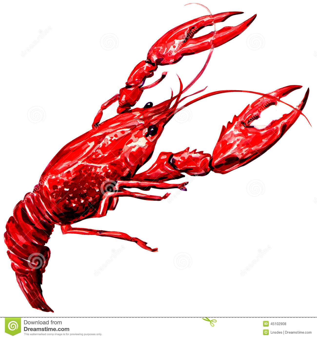 Boiled Crawfish Isolated 1300x1390 Boiled Crawfish Isolated