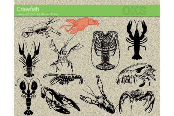 580x386 Crawfish Vector Graphic