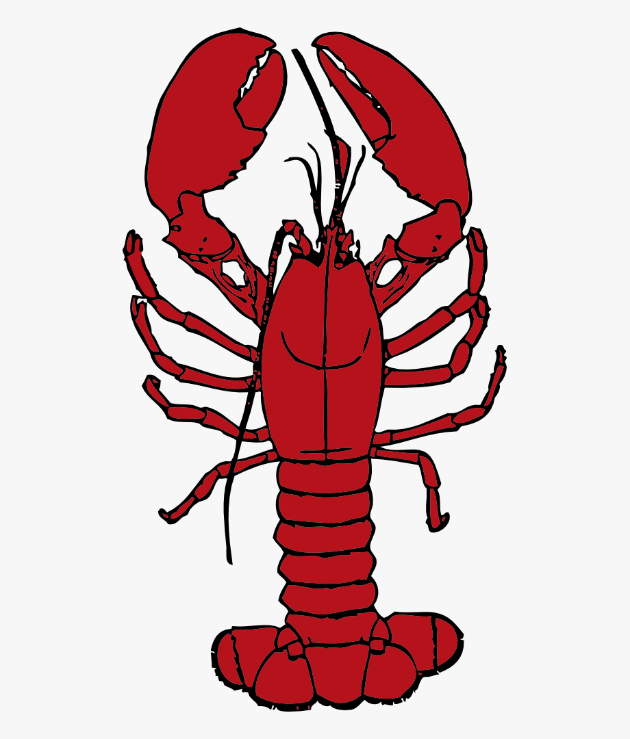 920x1080 Crawfish Vector Chef Hat