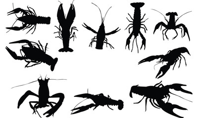 400x240 Crawfish Vector Photos, Royalty Free Images, Graphics, Vectors
