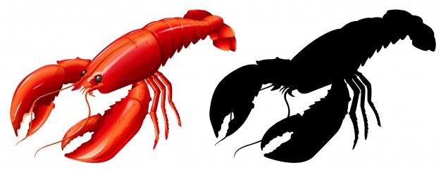 626x242 Crayfish Vectors, Photos And Free Download