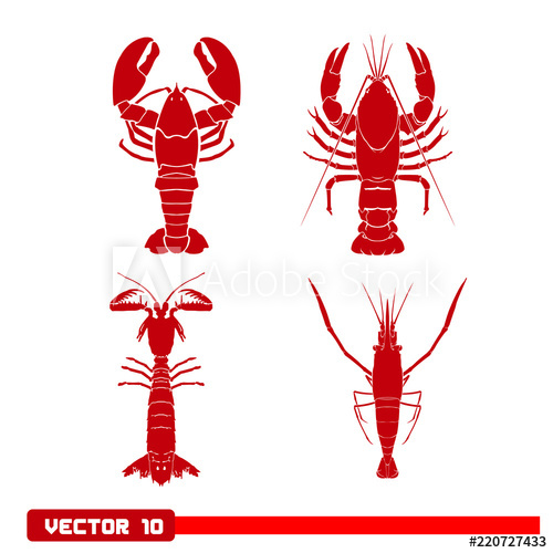 500x500 Red Crayfish Logo Set Vector Illustration Isolated
