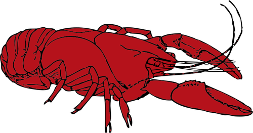500x263 Red Crayfish Vector Clip Art