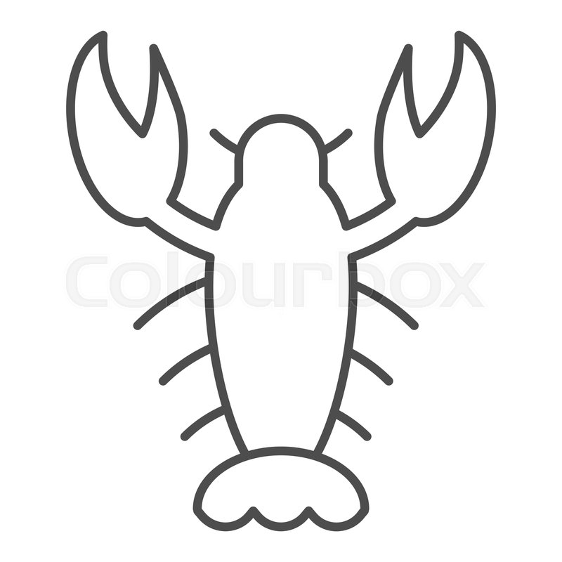 800x800 Crayfish Thin Line Icon Crawfish Stock Vector Colourbox