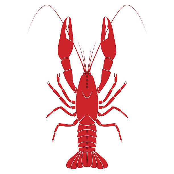 612x612 Red Crayfish Vector Flat Illustration Isolated Vector Art