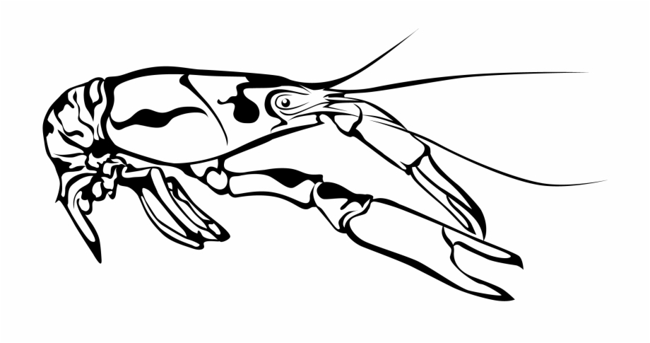 920x485 Crawfish Clipart Clip Art