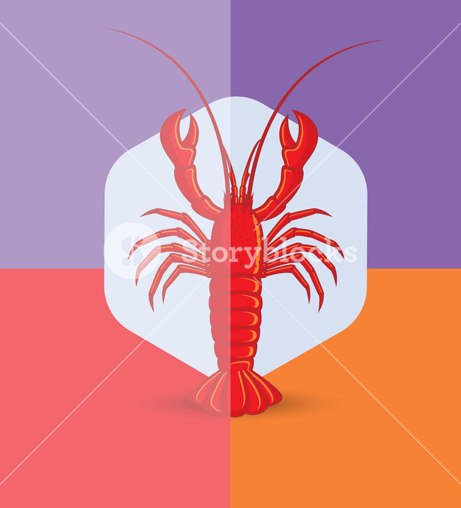 909x1000 Crayfish Vector Illustration Royalty Free Stock Image