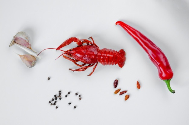626x414 Crayfish Vectors, Photos And Free Download