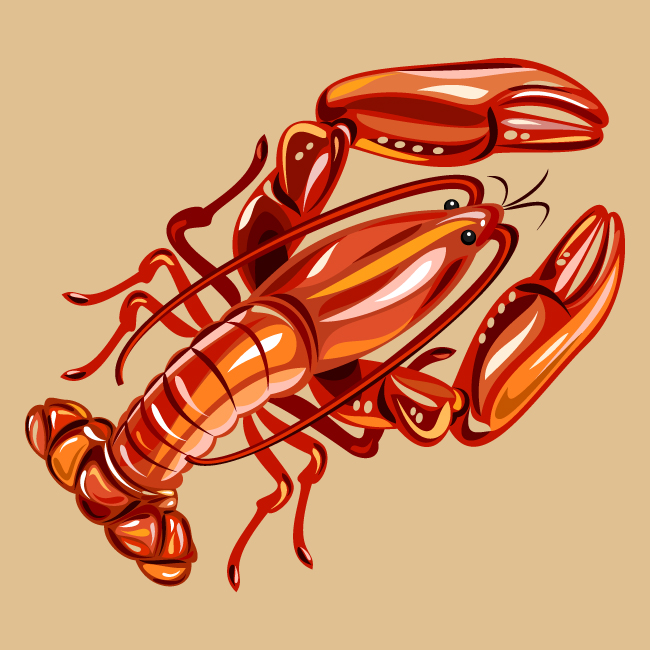 650x650 Crayfish Vectors Image
