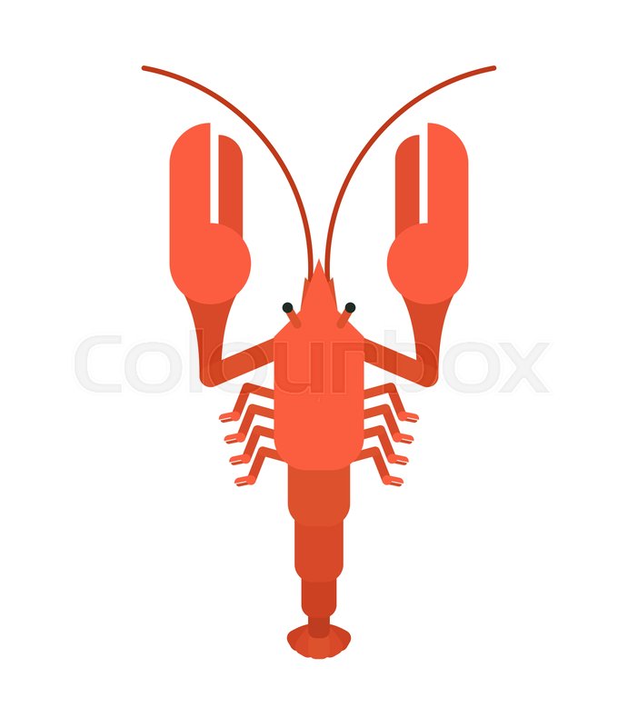 702x800 Crayfish Red Isolated Marine Stock Vector Colourbox