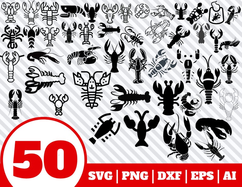 794x616 Crayfish Bundle Crayfish Clipart Crayfish Vector Etsy