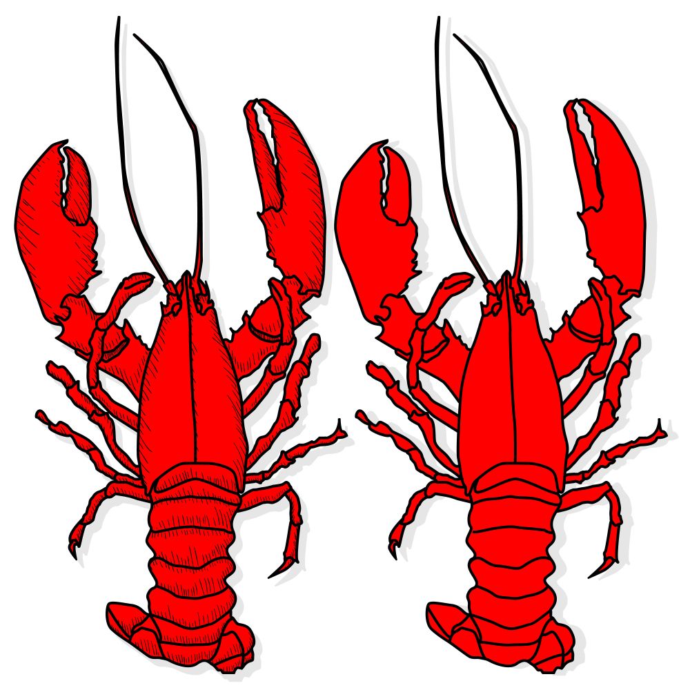 1000x1000 Crayfish Vector Illustration On A White Background Crayfish
