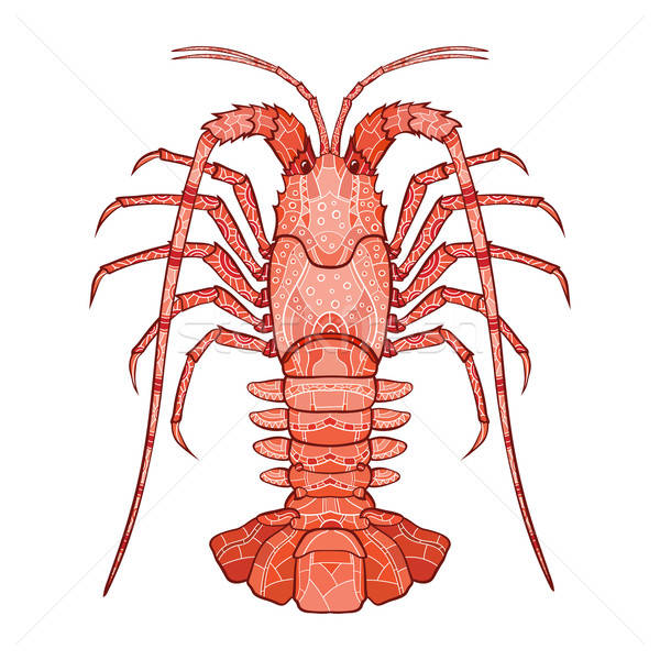 600x600 Decorative Isolated Crayfish Vector Illustration Denis Ulyankin