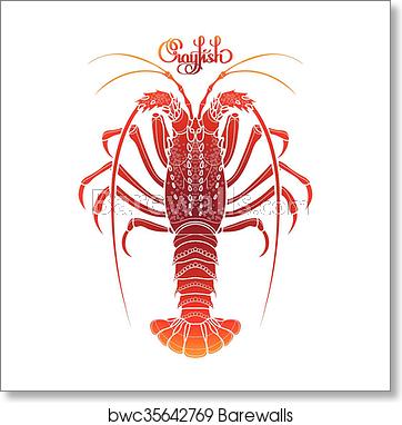 362x382 Graphic Vector Crayfish, Art Print Barewalls Posters Prints