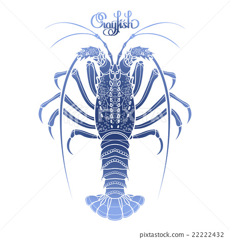 450x468 Graphic Vector Crayfish