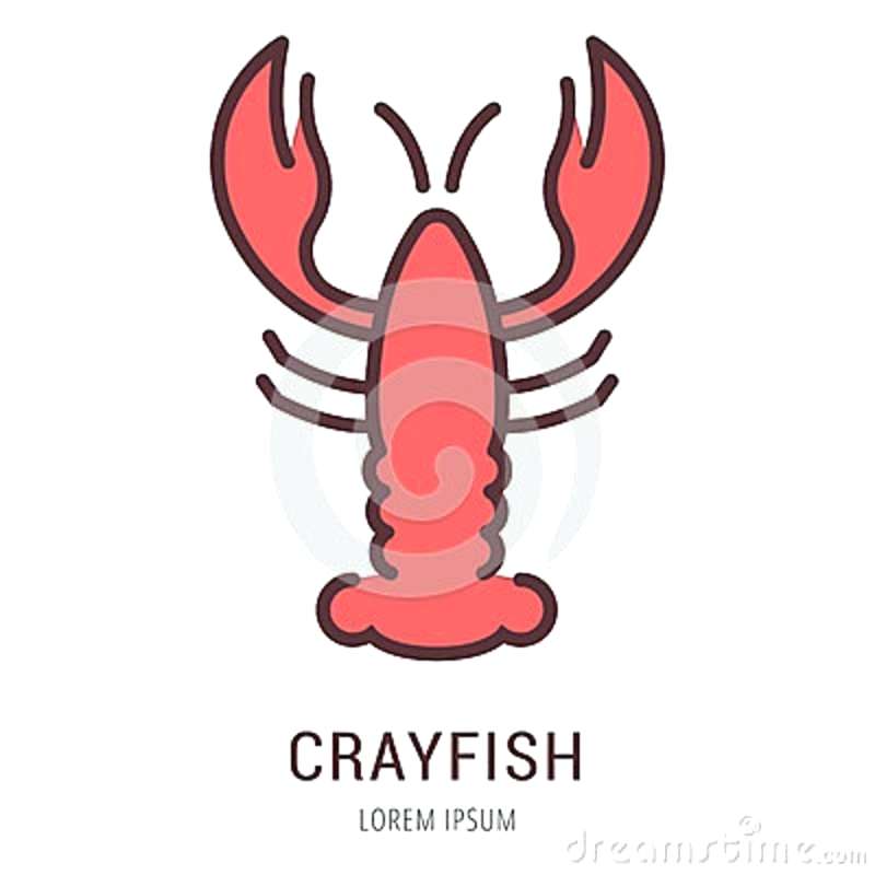 800x800 Logo Or Label Crayfish Line Style Logotype Easy To Use Crayfish