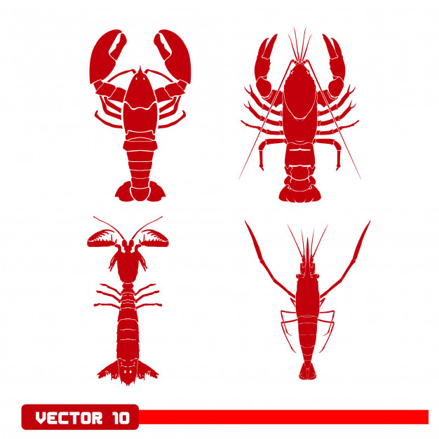 626x626 Red Crayfish Logo Set Vector Illustration Isolated Vector