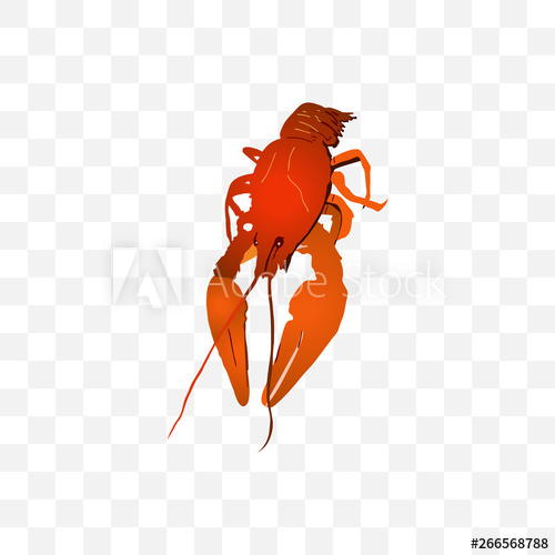 500x500 Crayfish Vector Illustration On Blank Background