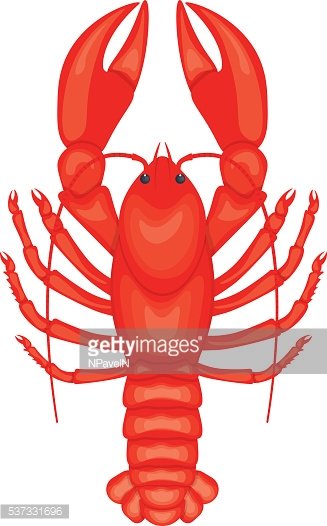 327x526 Crayfish Vector Illustration Isolated On White Background Premium