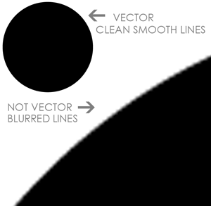 300x293 Creating A Vector