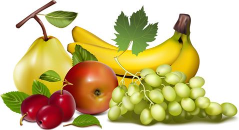Fruit Creative Commons Free Vector Download 478x261 Fruit Creative Commons Free Vector Download
