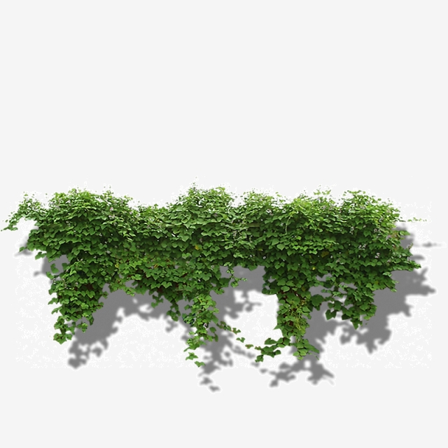 640x640 Download Free Png Creeper Png Images Vector And Free