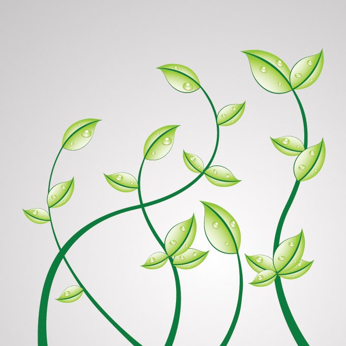 680x680 Free Green Creeper Plant Floral Files, Vectors Graphics
