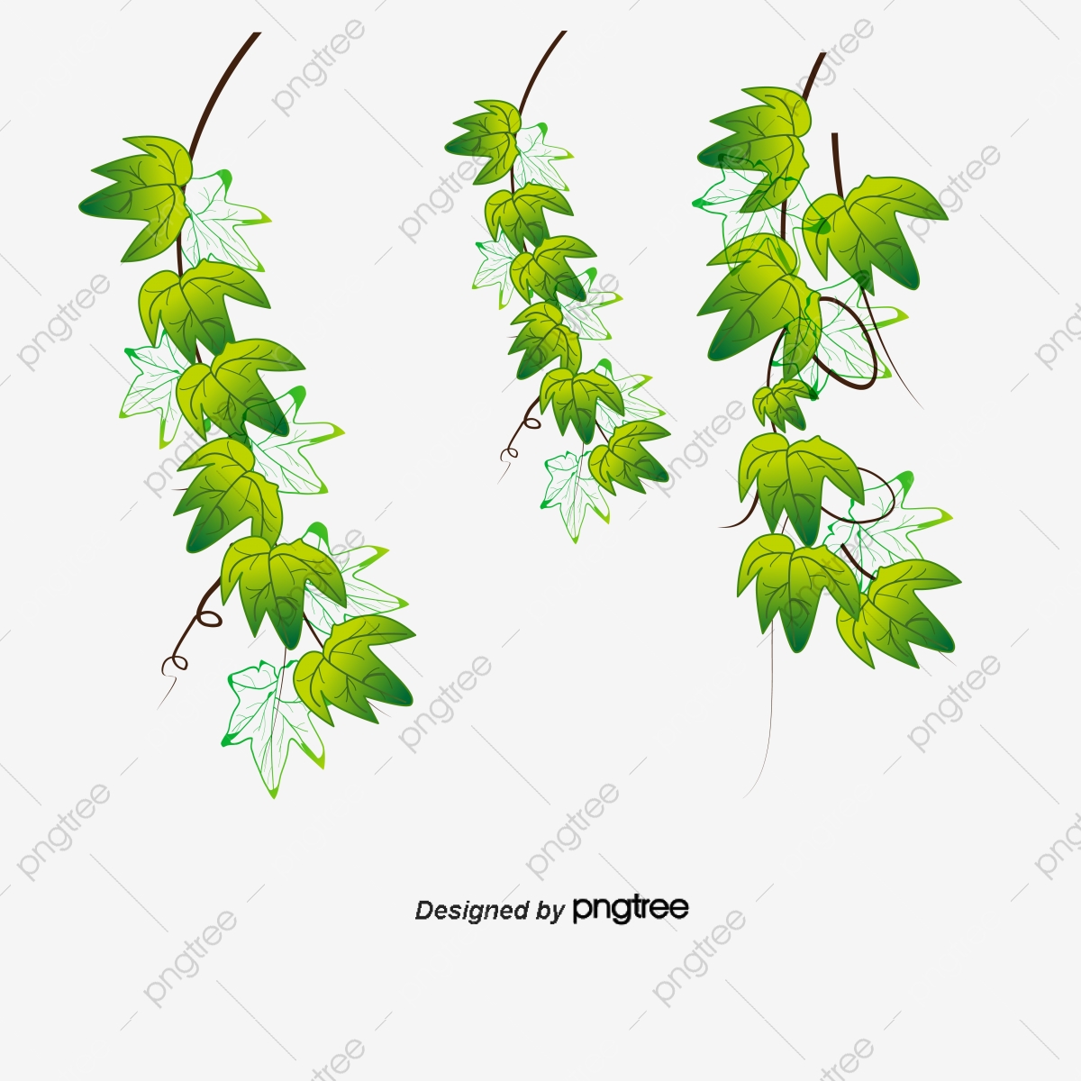 1200x1200 Hand Painted Ivy Leaf Elements, Leaf Vector, Hand Painted, Creeper