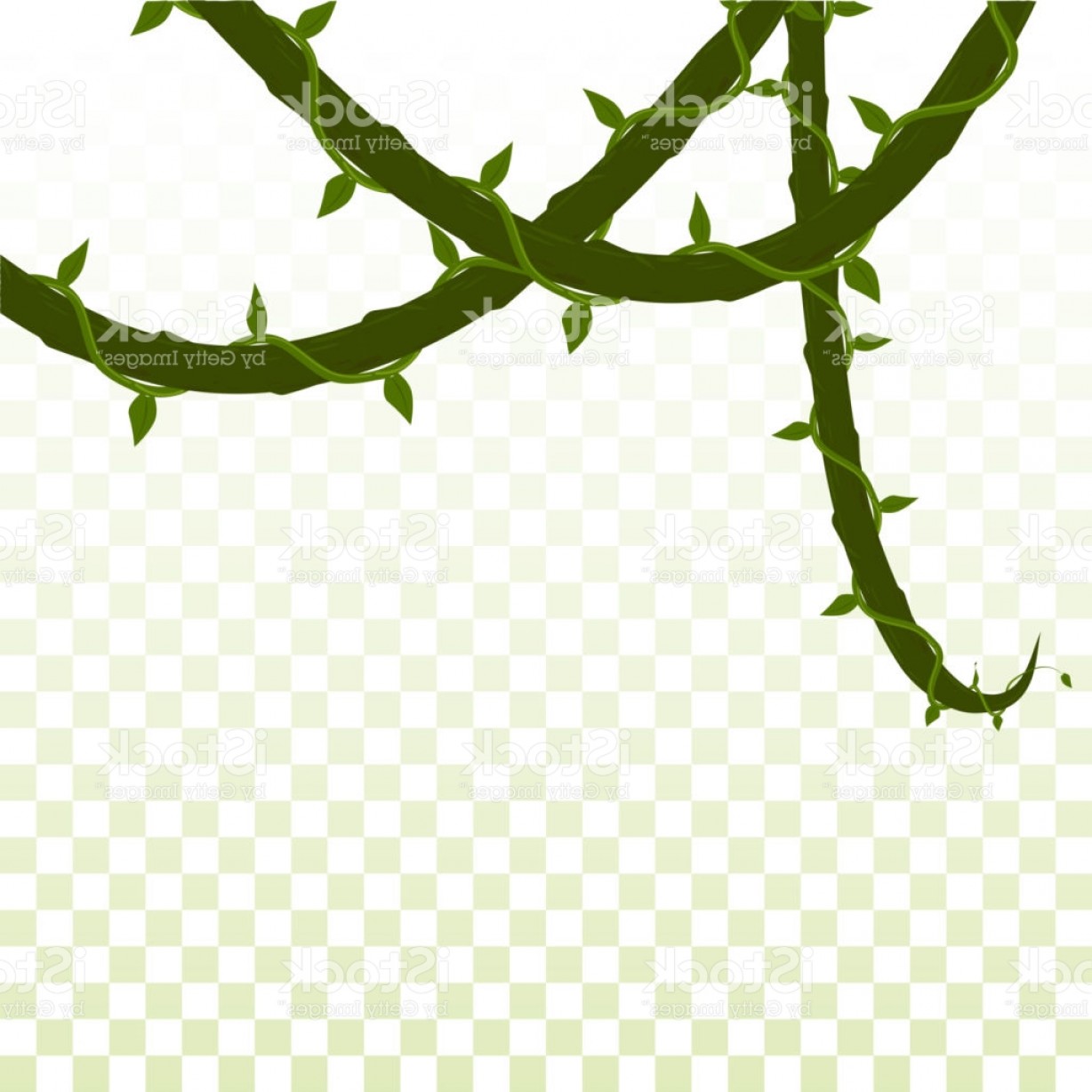 1228x1228 Isolated Dangling Creepers On A Transparent Background Vector
