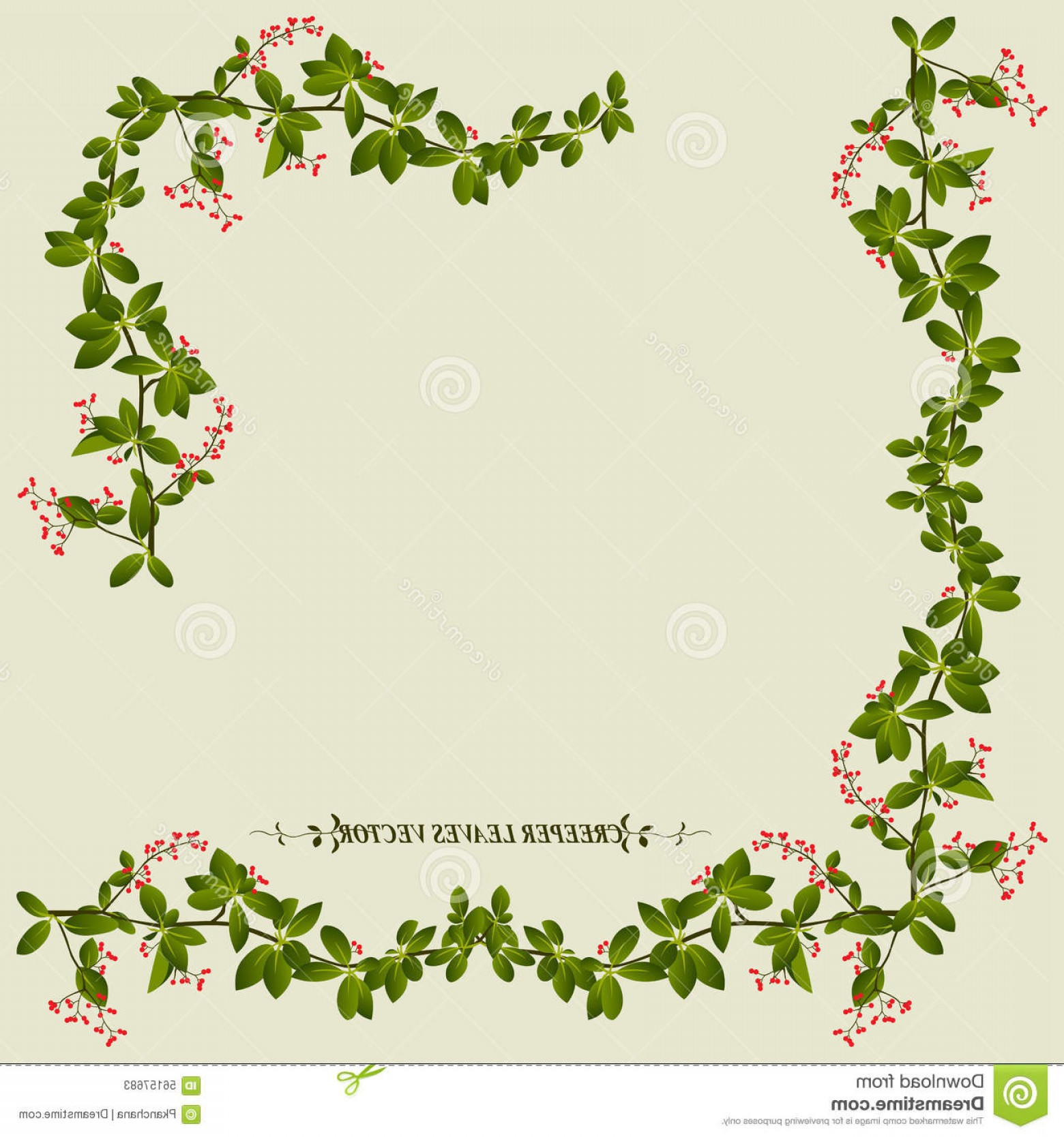 1560x1668 Vine Border Vector Catamart