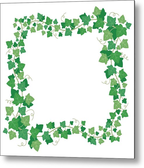 493x572 Vine Ivy Green Leaves Frame Climbing Plant Greenery Rectangular