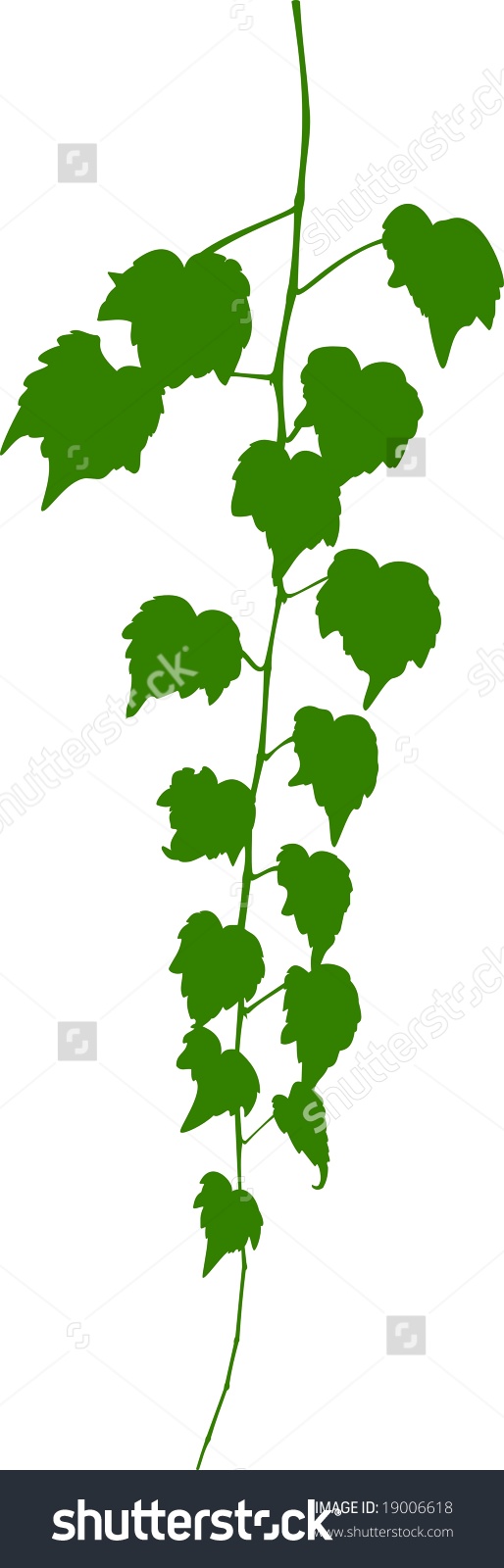 514x1600 Virginia Creeper Clipart Free Cliparts Download Images