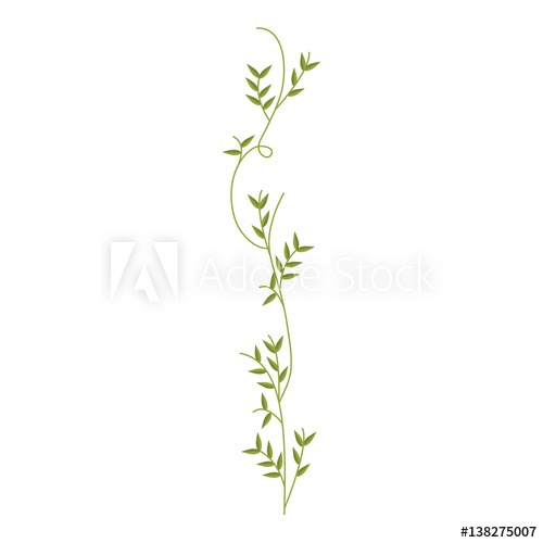 500x500 Creeper With Leaves Nature Design Vector Illustration