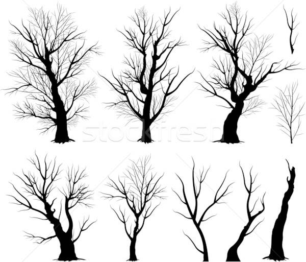 600x513 Creepy Tree Vector Illustration Hugo Lacasse
