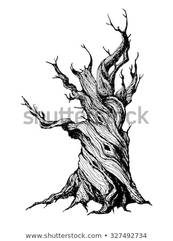 338x470 Huge Collection Of 'scary Tree Drawing' Download More Than