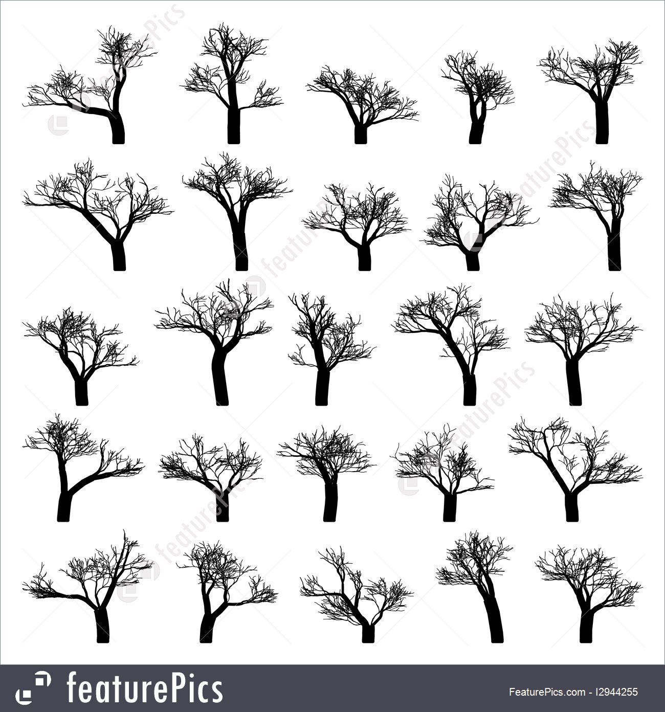 1300x1392 Plants Spooky Tree Silhouette Vector Isolated